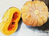 Courge Musquée